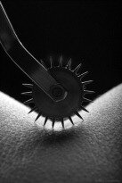Wartenberg Wheel Wartenberg Wheel
